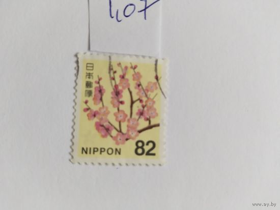 Япония 2014  цветы
