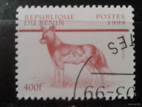 Бенин 1999 Стандарт, собака Михель-1,5 евро гаш
