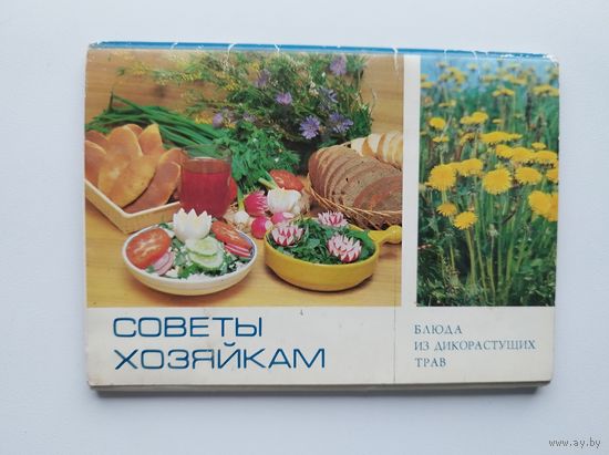 Советы хозяйкам. Блюда из дикорастущих трав  1985 год. 15 штук, полный комплект