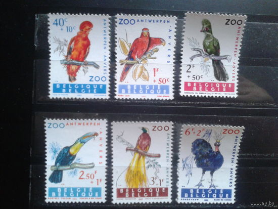 Бельгия 1962 Птицы из зоопарка Антверпена** Полная серия