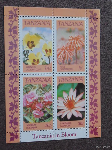 Танзания. Цветы.