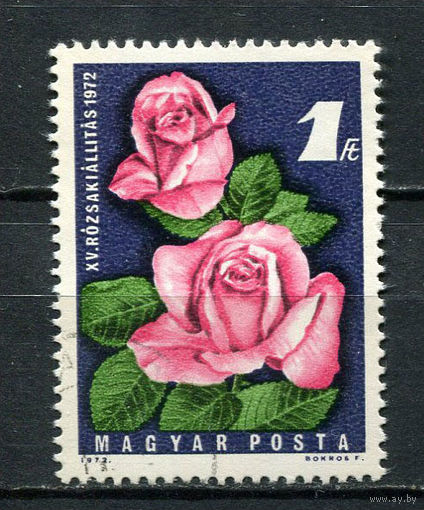 Венгрия - 1972 - Цветы. Роза - [Mi. 2768] - полная серия - 1  марка. Гашеная.  (Лот 110Ct)