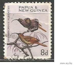 Папуа Новая Гвинея. Птицы. Желтохвостая райская птица. 1964г. Mi#66.
