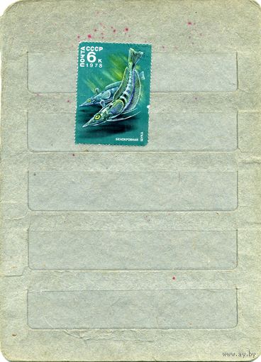 СССР, 1978, ЖИВОТНЫЙ МИР АНТАРКТИКИ, , 1м