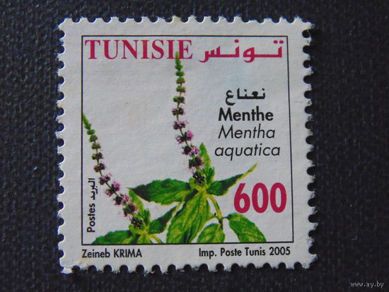 Тунис 2005 г. Цветы.