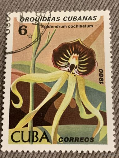 Куба 1980. Орхидеи. Epidendrum cochleatum. Марка из серии