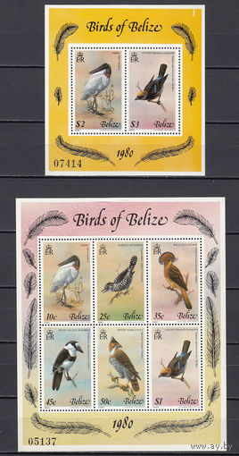Фауна. Птицы. Белиз. 1980. 1 малый лист и 1 блок. Michel N бл18-19 (130,0 е)