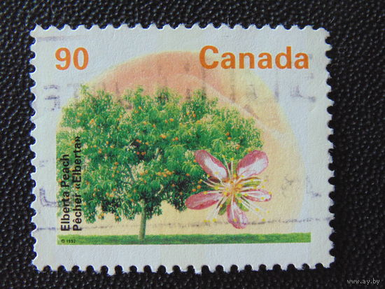 Канада 1992 г. Флора.