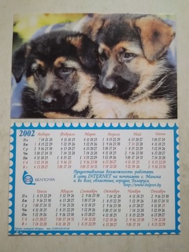 Карманный календарик . Собаки . Белпочта. 2002 год