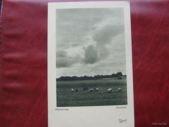 Почтовая карточка Природа Латвии (1930-е годы)