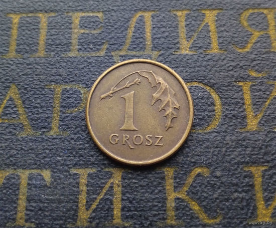 1 грош 1993 Польша #05