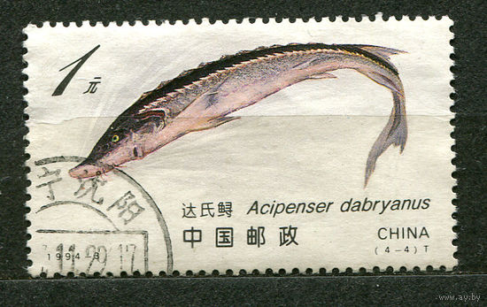 Фауна. Рыбы. Осетр. Китай. 1994