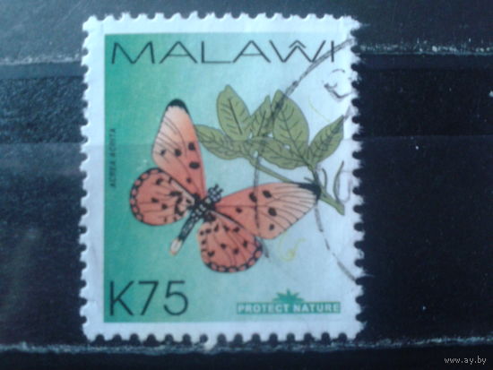 Малави 2007 Стандарт, бабочка (высокий номинал) Михель-4,5 евро гаш