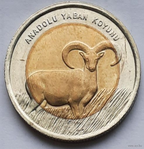 Турция 1 лира 2015 г. Муфлон