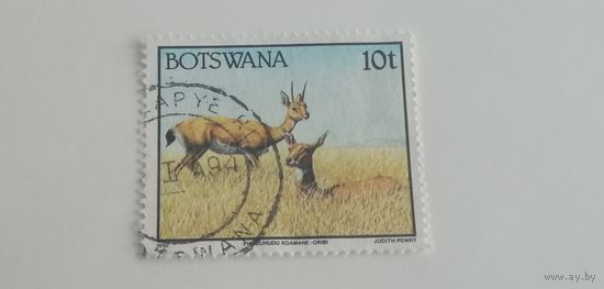 Ботсвана 1992. Животные