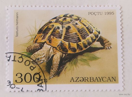 Азербайджан 1995, черепаха