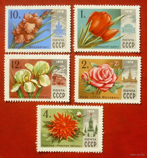 СССР. Цветы Москвы. ( 5 марок )  1978 года. 5-8.