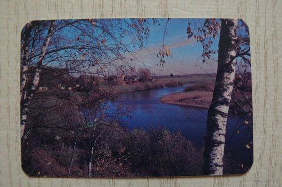 Календарик, 1989, Природа.
