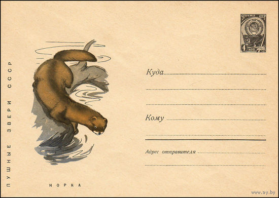 Художественный маркированный конверт СССР N 4636 (03.05.1967) Пушные звери СССР  Норка