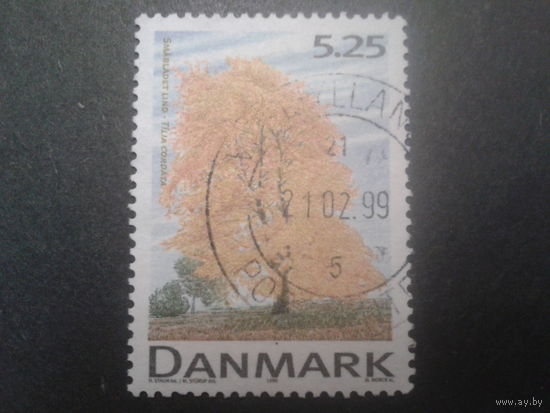 Дания 1999 дерево