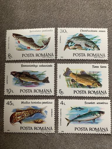 Румыния 1992. Рыбы