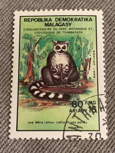 Мадагаскар 1988. Дикие животные. Марка из серии