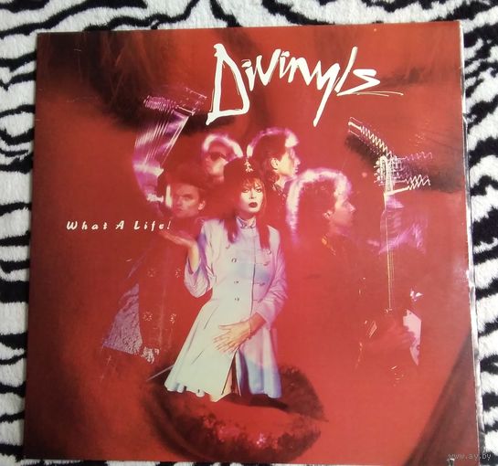 Divinyls-1985-What a life