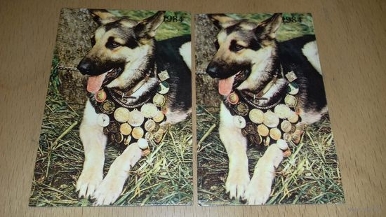 Календарики 1984 Эстония. Собаки. 2 одинаковых одним лотом