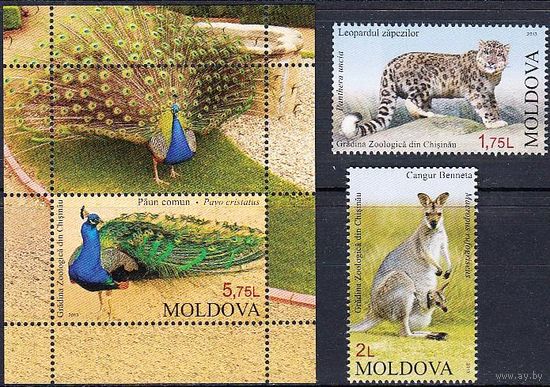 Молдова Молдавия 2013 фауна зоопарк птицы леопард кенгуру **