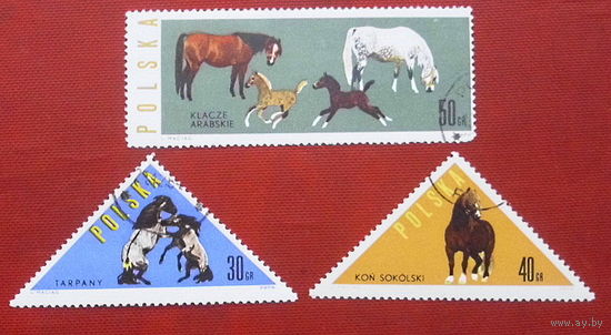 Польша. Лошади. ( 3 марки ) 1963 года. 6-4.