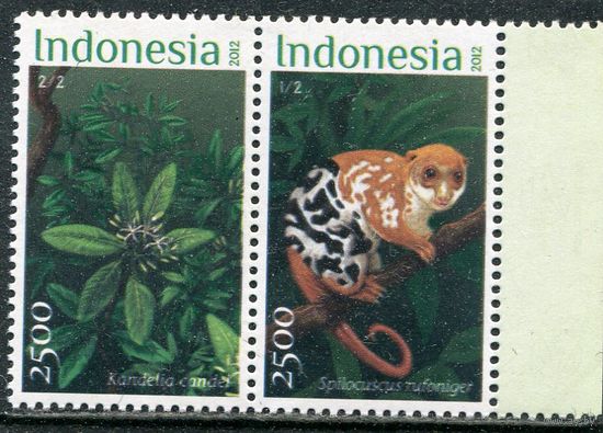 Индонезия. Фауна. Лямур