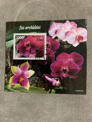 Чад 2020. Цветы. Орхидеи. Блок
