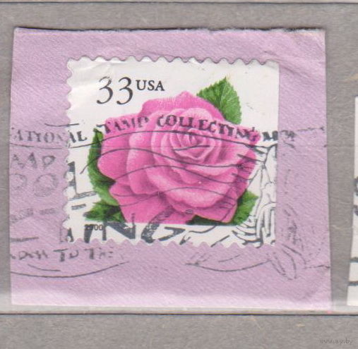 Цветы розы Флора  США 2000 год лот 1069 цена за 1 марку вырезки