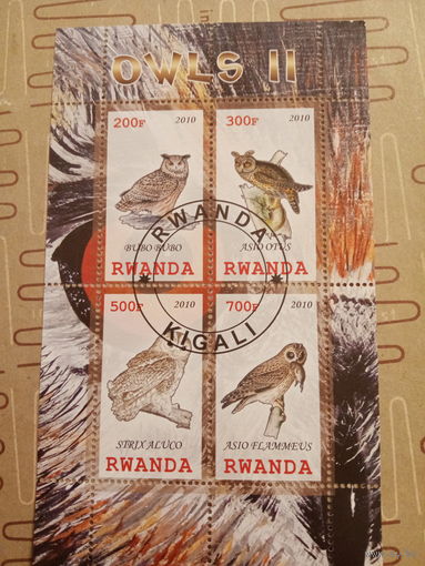 Руанда 2010. Птицы. Совы