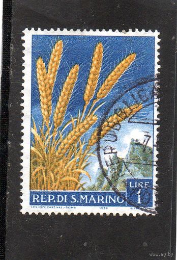 Сан-Марино.Ми-594.Колосья пшеницы.1958.