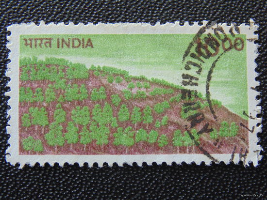Индия 1984 г. Флора.