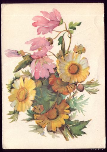 1958 год Л.Хижинский Цветы