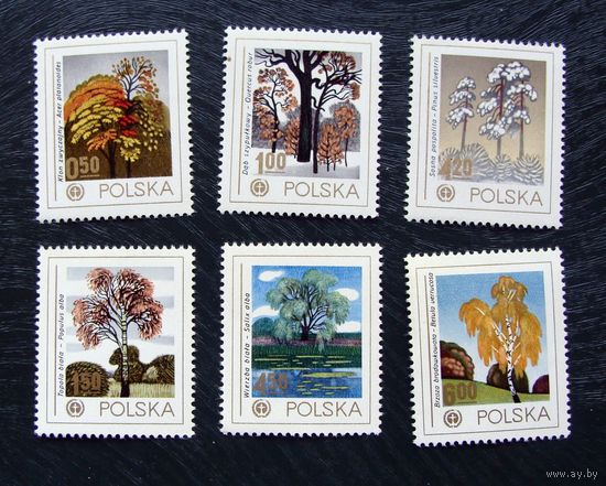 Польша: 6м/с деревья, 1978