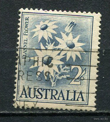 Австралия - 1959/1965 - Цветы 2Sh - [Mi.299] - 1 марка. Гашеная.  (Лот 7EB)-T7P2
