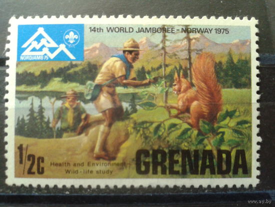 Гренада 1975 Скауты**