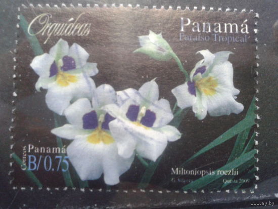 Панама 2000 Орхидеи, марка из блока Михель-3,6 евро гаш