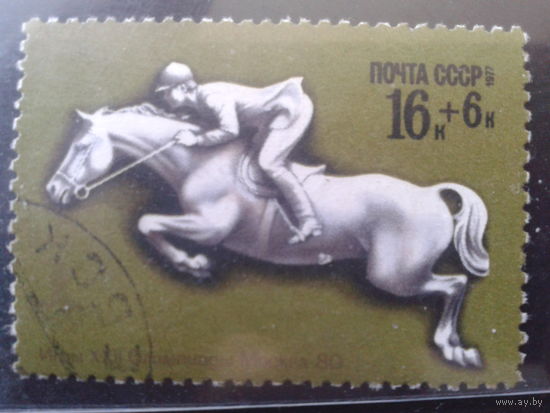 1977 Олимпиада в Москве, конный спорт