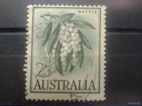 Австралия 1959 Цветы акации