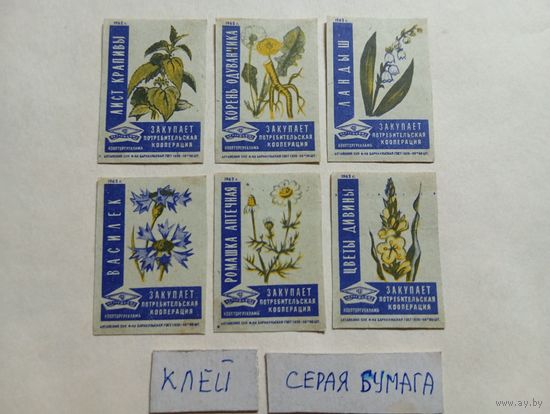 Спичечные этикетки ф.Барнаул. Закупает потребительская кооперация. 1962 год