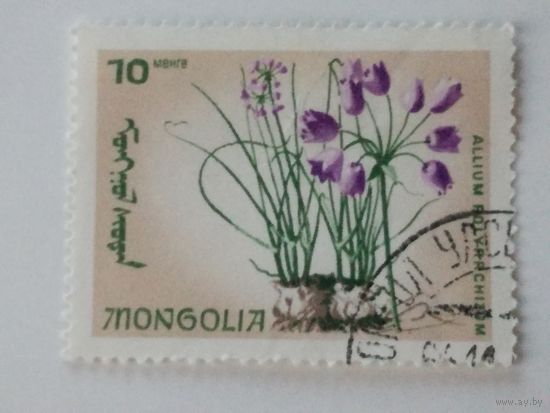 Монголия 1966. Цветы