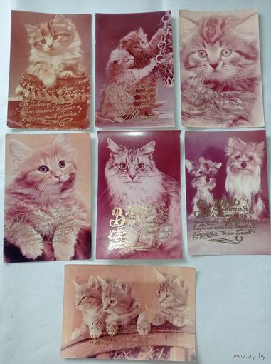 Открытки ССР с котятами, фото котов, котят. Поздравительные открытки ССР с золотой надписью- пожеланиями