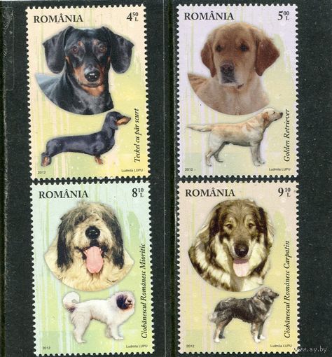 Румыния. Собаки. Вып.2012