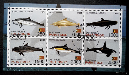 Восточный Тимор 2001  г. Дельфины. Фауна, полная серия + Блок #0084-Ф1