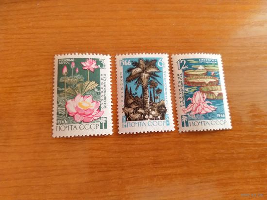 1966 СССР чистая полная серия цветы флора MNH**(сф-10)