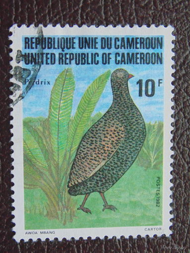 Камерун 1982г. Птицы